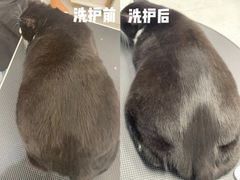 -comecome来吧宠物(奥克斯中心店)