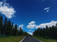 -塞罕坝国家级自然保护区