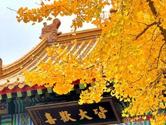 -千佛山风景名胜区