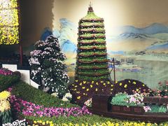 -杭州植物园
