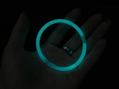 -大家乐(深圳中信店)