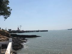 -八婆婆烧仙草(中山路店)