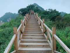 -大岭沟猕猴桃谷风景区