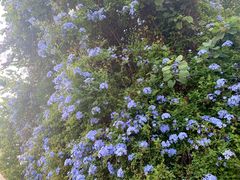 -花苑里咖啡(威远店)