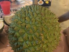 -都念榴莲·城市榴莲