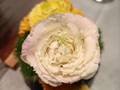 -南堂馆·新川菜(春熙路店)