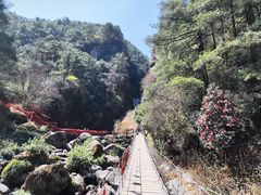 -苍山感通索道
