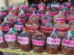 -大湾区中央湿地公园-十九涌
