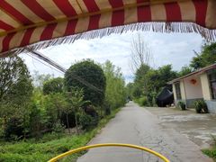 -罗家巷子休闲庄自助碳烤
