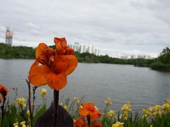 -观山湖公园