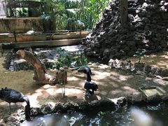 -卡塞拉自然公园
