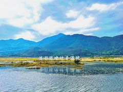 -腾冲北海湿地
