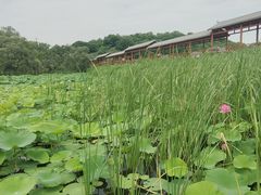 -大青沟风景区
