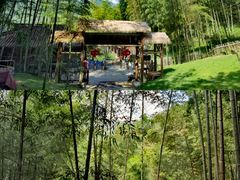 -宁波浙东大竹海景区