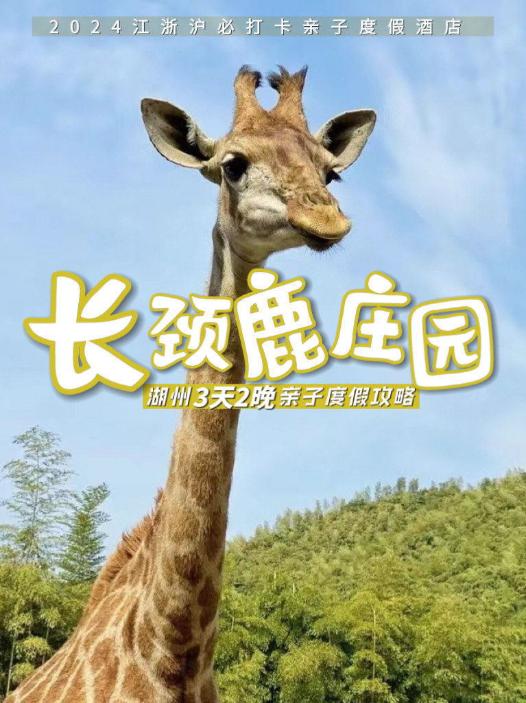 江浙沪必打卡宝藏亲子度假酒店,湖州长颈鹿庄园