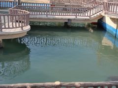 -广东惠东海龟国家级自然保护区