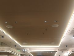 -海底捞火锅(振华广场生日主题店)