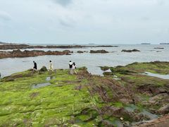 -青岛第二海水浴场