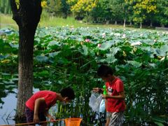 -白塘生态植物园