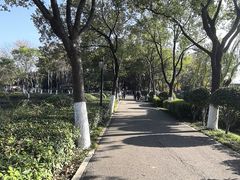 -金银湖国家城市湿地公园
