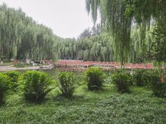 -丰台科技园生态主题公园