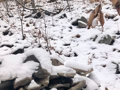 -帽儿山国家森林公园