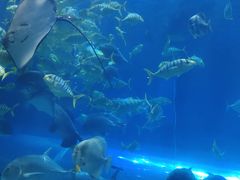 -华夏文旅西安度假区