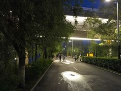 -长白岛森林公园