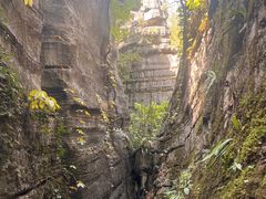 -梭布垭石林景区