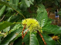 -北京宽沟会议中心