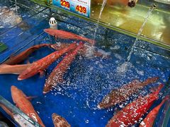 -东江海鲜酒家(艺都分店)