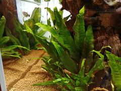 -剪刀石头布家居广场