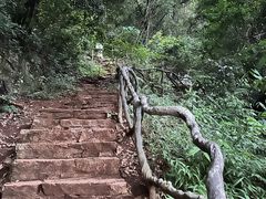 -普者黑风景区-青龙山