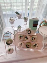-baby bella小贝拉母婴护理中心(珠海华发公寓店)