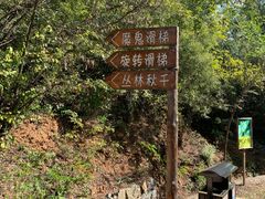 -欢乐松鼠谷