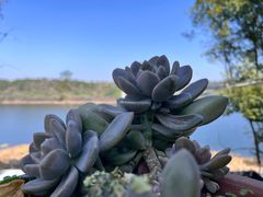 -古宇湖风景名胜区