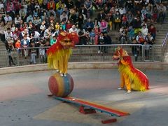 -石家庄市动物园