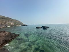 -涠洲岛香蕉鸡