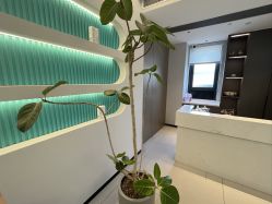 点击看大图 -水女人科技美肤·LDM·超清秀