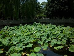 -西湖天地