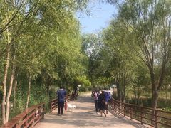 -绿堤公园