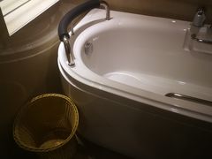 -泰华博悦大酒店