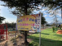 -童心园麦窑·儿童拓展探宝乐园