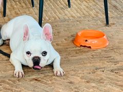 -ROAST coffee & eatery