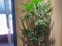 -竹犇番茄火锅(长风街店)