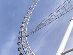 -祥源·阜阳生态乐园