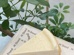 -M Stand(西安大悦城店)