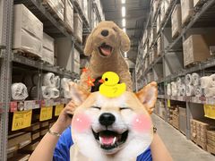 -宜家家居(西安未央商场店)