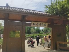 -黑龙江省森林植物园