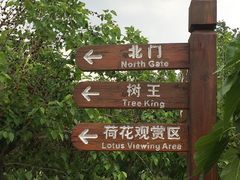 -御林古桑园